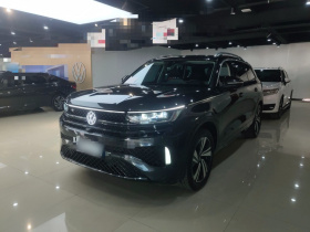 大众 揽巡 2024款 380TSI 四驱R-Line巡游版