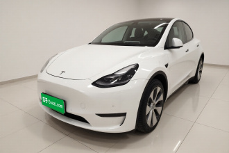 特斯拉 Model Y 2021款 长续航全轮驱动版