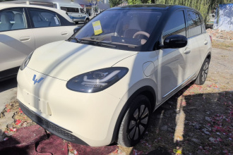 五菱汽车 五菱缤果 2025款 333km 悦享款