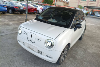 欧拉黑猫 2019款 351km 亲子版