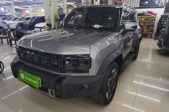 捷途山海 捷途旅行者C-DM 2026款 212km 穿越