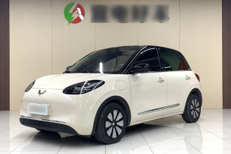 五菱汽车 五菱缤果 2025款 333km 悦享款