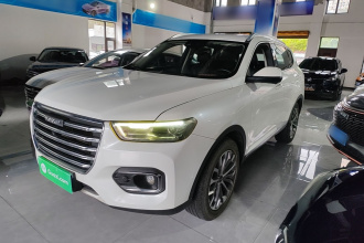 哈弗H6 2020款 1.5GDIT 自动铂金豪华版