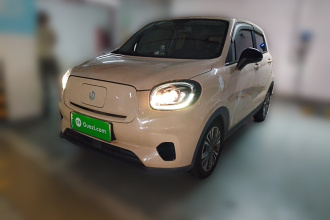 零跑汽车 零跑T03 2021款 400轻享版 磷酸铁锂