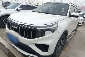 起亚 智跑 2021款 Ace 2.0L 精彩版