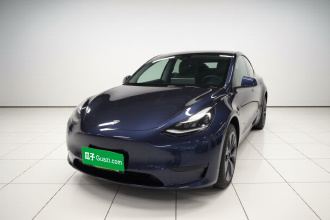 特斯拉 Model Y 2024款 后轮驱动版
