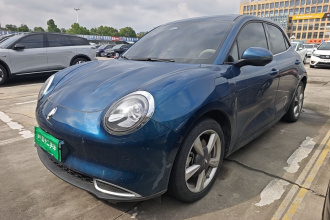 欧拉好猫 2023款 401km标准续航 尊贵型 磷酸铁锂