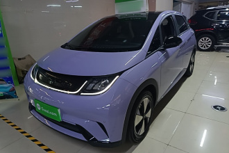 比亚迪 海豚 2023款 420km 时尚版