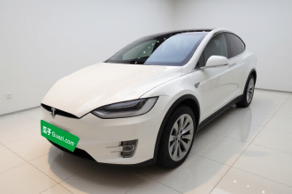 特斯拉 Model X 2019款 长续航版