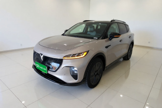 岚图汽车 岚图知音 2024款 四驱全球版