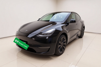 特斯拉 Model Y 2021款 标准续航后驱版