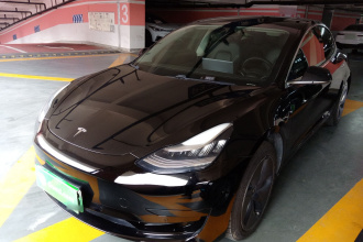特斯拉 Model 3 2020款 标准续航后驱升级版