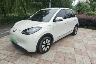 五菱汽车 五菱缤果 2024款 333km 悦享款