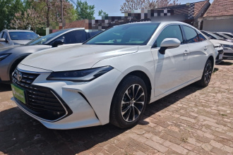 丰田 亚洲龙 2023款 2.0L 进取版