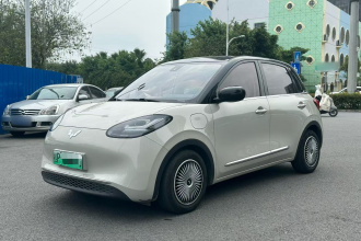 五菱汽车 五菱缤果 2023款 333km 悦享+款