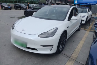 特斯拉 Model 3 2021款 Performance高性能全轮驱动版 3D6