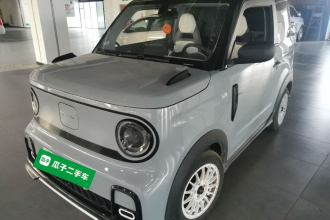 吉利银河 2024款 200km 熊猫卡丁