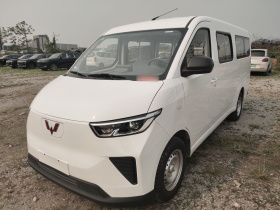 五菱汽车 五菱扬光 2024款 300km 舒适型客车版 75kW