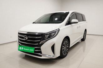 广汽传祺 传祺M8 2021款 领秀系列 390T 尊贵版