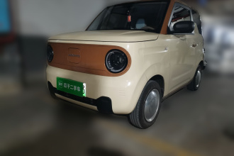 吉利银河 2023款 熊猫mini 200km 耐力熊