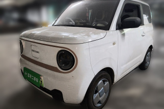 吉利银河 2024款 200km 熊猫卡丁