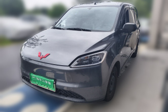五菱汽车 五菱宏光新能源 2024款 纯电版 300KM 标准型