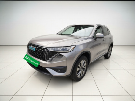 哈弗H6新能源 2023款 DHT-PHEV 110KM 畅行版