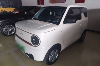 吉利银河 2024款 熊猫mini 200km 耐力熊