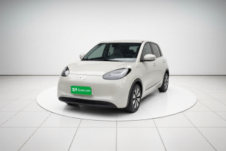 五菱汽车 五菱缤果 2023款 333km 悦享款