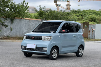五菱汽车 宏光MINIEV 2020款 自在款 磷酸铁锂