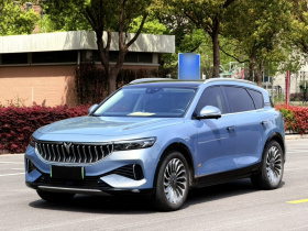 岚图汽车 岚图FREE 2021款 四驱标准增程专属豪华套装