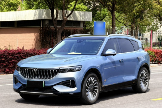 岚图汽车 岚图FREE 2021款 四驱标准增程专属豪华套装