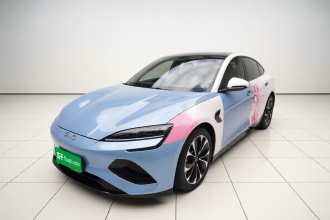 比亚迪 海豹 2022款 550km 标准续航后驱版尊贵型