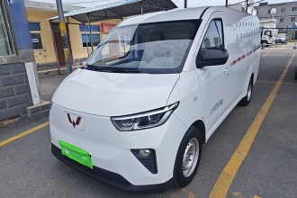 五菱汽车 五菱扬光 2024款 300km 舒适型封窗版 60kW
