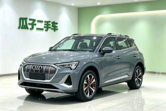 奥迪e-tron 2021款 50 quattro 臻选型
