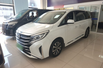 广汽传祺 传祺M8 2023款 领秀系列 390T 尊享版