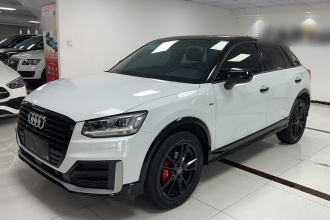 奥迪Q2L 2021款 35 TFSI 进取动感型