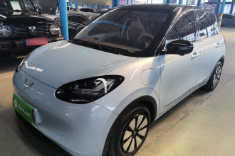 五菱汽车 五菱缤果 2025款 333km 灵犀尊享款