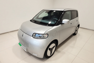 欧拉白猫 2020款 360km 豪华型