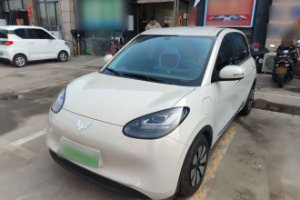 五菱汽车 五菱缤果 2024款 333km 悦享款