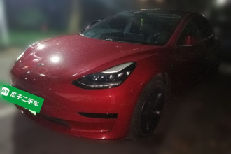 特斯拉 Model 3 2020款 标准续航后驱升级版