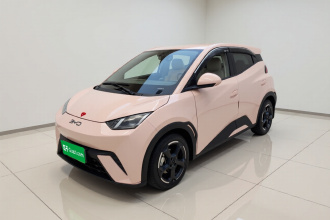 比亚迪 海鸥 2024款 荣耀版 305km 自由版