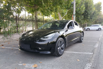 特斯拉 Model 3 2019款 标准续航后驱升级版