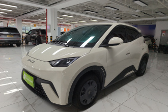 比亚迪 海鸥 2023款 活力版