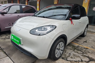 五菱汽车 五菱缤果 2025款 203km 轻享款