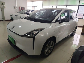 奔腾NAT 2021款 网约版