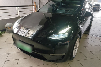 特斯拉 Model Y 2021款 标准续航后驱版