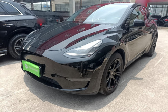 特斯拉 Model Y 2021款 长续航全轮驱动版 3D7