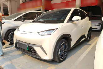 比亚迪 海鸥 2023款 飞翔版