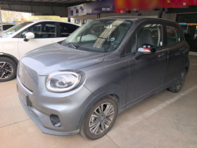 零跑汽车 零跑T03 2021款 400 网约版